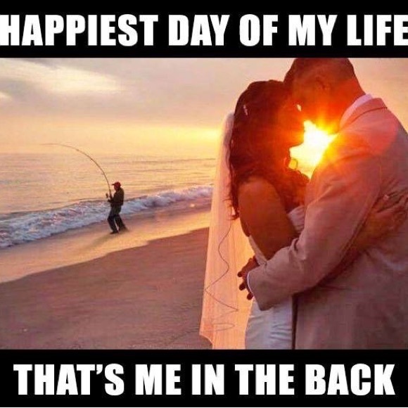 Meet your Posher, Tommy - Picture 1 of 1